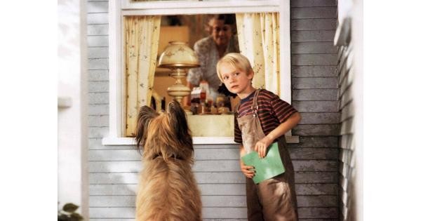 DANIEL: EL TRAVIESO  - POSTER